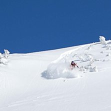 Foto: Henrik D&oslash;vre. &Aring;kare: Maria D. Thorvik.