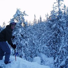 G&ouml;tt me sn&ouml;. Foto: Viktor Hermansson. &Aring;kare: Viktor Hermansson.