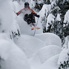 Min b&auml;sta skogs&aring;kning n&aring;gonsin. . Foto: Oskar Enander. &Aring;kare: Patrik Leidstedt.