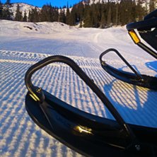 Str&aring;lende vintersol 
Godt nytt ski&aring;r:-) Nypreppe.