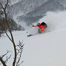 Cortina, Hakubas b&auml;sta Pow!!. Foto: Henrik Liljeqvist. &Aring;kare: Robert Hortlund.