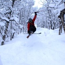 Skutt i skogen. Foto: martin h&ouml;glund. &Aring;kare: Anders Mangs.
