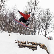 Skogsparken. Foto: Christopher jenzen. &Aring;kare: Tobbe Granberg.