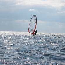 Foto: Stefan Alsved. &Aring;kare: Leo ALsved.