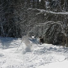 Akta Renen. Foto: Emil Lidberg. &Aring;kare: Renen.