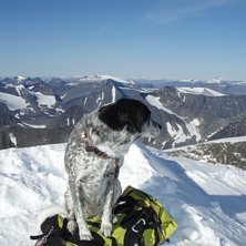Vanja p&aring; Kebnekaise Sydtopp. Foto: Krister Jonsson. &Aring;kare: Vanja.