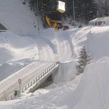 Jag och aporna.. Foto: Johan V&auml;rn. &Aring;kare: Martin Fredriksson.