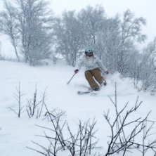 Foto: johan olsson. &Aring;kare: hanna skogsberg.