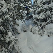 &Aring;ker man l&aring;ngt &aring;t h&ouml;ger kan man hitta s&aring;dan h. Foto: Magnus Smedberg. &Aring;kare: Alexander Torstling.