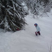 Ibland &auml;r det sv&aring;rt att sv&auml;nga bland tr&auml;na. Ma. Foto: Gert Anderzen. &Aring;kare: Ella och Johanna Anderzen.