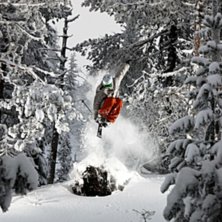 En liten stubbe vi hoppade p&aring; i st&ouml;tenskogen. Foto: Christoffer wasteg&aring;rd. &Aring;kare: Johan dahlstedt.