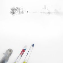 Niseko Foto