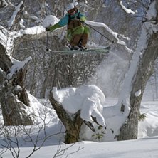 Jumping over the tree. Foto: Mika Kankainen. &Aring;kare: Mikko Rapeli.