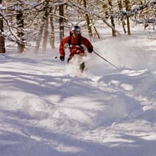 Foto: Roger Larsson. &Aring;kare: Tobias Andersson.