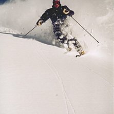 Foto: Claes N&oslash;rskov. &Aring;kare: Thomas Modell.