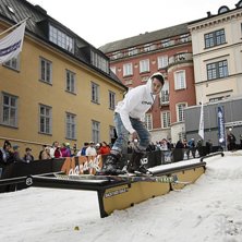 Winter Show i Kungstr&auml;dg&aring;rden 2014.. Foto: Hedda Berander.