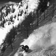 hungry at la fouly. Foto: teocalca. &Aring;kare: alby.