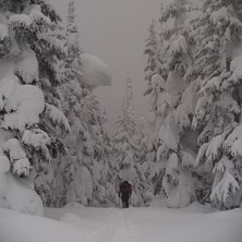 Foto: Jesper Peters&eacute;n. &Aring;kare: Tobias Andersson.