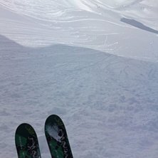 Sk&ouml;n repa.. Foto: Mats N&auml;slund. &Aring;kare: Mats N&auml;slund.