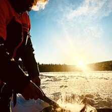 Tillsammans med elden och solens sken &ouml;verlevde v.