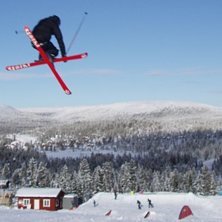 muteee. Foto: gustav borgst&ouml;m. &Aring;kare: fredde.