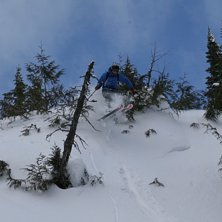 Foto: Nils Hallgren. &Aring;kare: John Hallgren.