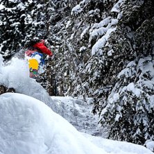 skogspuder efter ett rej&auml;lt dump. Foto: Anton Hilling. &Aring;kare: Johan Alfvegren.