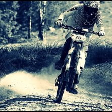 Cyklar. Foto: Niklas Wallner. &Aring;kare: Herman &Ouml;lund.