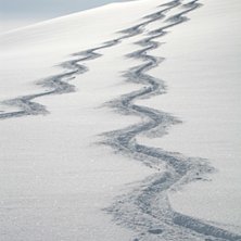 P&aring; topptur i Gr&auml;nsen. Osp&aring;rat &auml;r b&auml;st!. Foto: Magnus W&auml;rle.