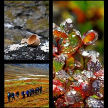 Foto: Simon Pont&eacute;r.