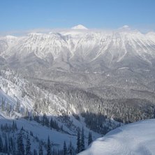 En s&aring; d&auml;r vanlig dag i Canada.. Foto: Ulf Elwing. &Aring;kare: Inge alls.
