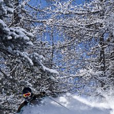 Fripa k&ouml;ttar i Zermatt. Foto: Robin Ljungqwist. &Aring;kare: Frida Alderin Harling.