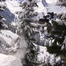 Treejump. Foto: Horgmo. &Aring;kare: ABO.