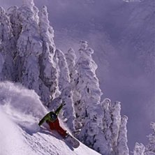 Foto: Therese Lundgren. &Aring;kare: Ruth.