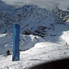 utan tvekan en av v&auml;rldens snyggaste br&auml;dor. Syn. Foto: Herman.