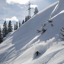 Foto: Krills. &Aring;kare: Alexader Palm.