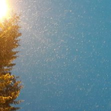 Det sn&oslash;r p&aring; fjellet
Fint skif&oslash;re i bakken!.