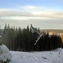 Romme. Foto: Robin Eriksson. &Aring;kare: Fredrik L&ouml;wenhamn.