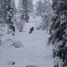 Det var grymt med sn&ouml; i s&auml;len.. sk&ouml;nt &aring;k, dock. &Aring;kare: Martin Koitrand.