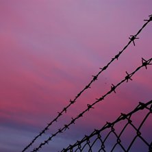 Fence.. Foto: Jens Marklund.