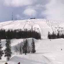 Foto: Alina Bergmark.