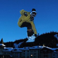 front trea. Foto: Tim Lange. &Aring;kare: Linus Krohn.