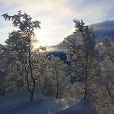 Utsikt fr&aring;n hotellf&ouml;nstret i Bj&ouml;rkliden v7 2009. Foto: Stina Nero.