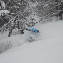 Br&auml;dan &aring;kte fram i pudret. Foto: Martin Wikstr&ouml;m. &Aring;kare: Adam Jonsson.