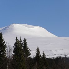 Foto: Frida Herndal.