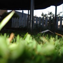 en bild. Foto: albin &ouml;ster. &Aring;kare: gr&auml;set.