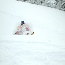 Fluff.... Foto: Camilla Wennerstr&ouml;m. &Aring;kare: David Drazdil.