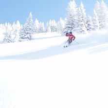 Dagen efter sn&ouml;dump blev det lite h&auml;rlig skogs&aring;. Foto: Mikael Ekstr&ouml;m. &Aring;kare: M&aring;ns Ekstr&ouml;m.