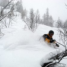 Djupt nr 4 i l&auml;rkskogen. Foto: Sture &Aring;gren. &Aring;kare: Peter Karlsson.