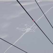 snoppar i sn&ouml;n som syntes hur tydligt som helst f. Foto: Fredrik Eliasson. &Aring;kare: tre snoppar.